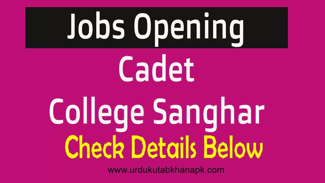 Jobs In Cadet College Sanghar