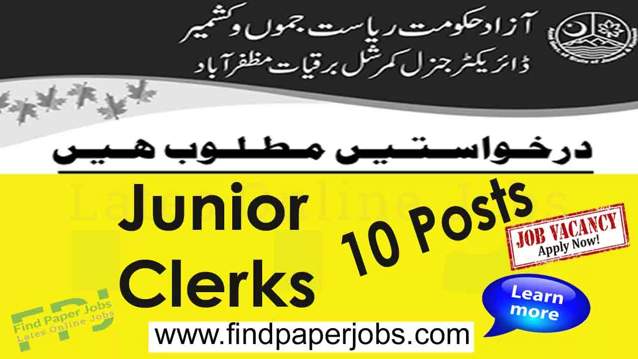 Jobs In Directorate General Commercial Electronics Muzaffarabad 2023