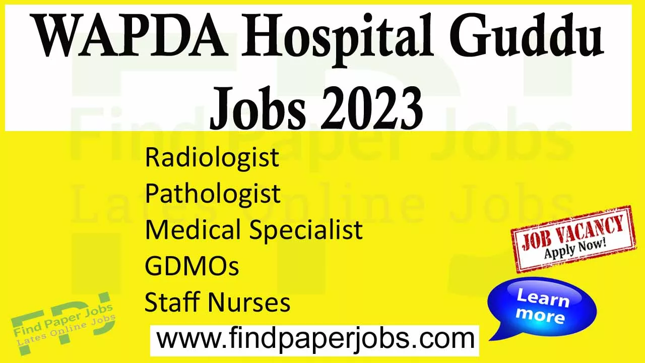 WAPDA Hospital Guddu Jobs 2023
