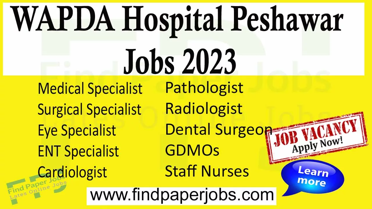 Jobs In WAPDA Hospital Peshawar 2023