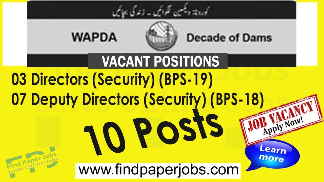 Deputy Director Jobs in WAPDA March 2023