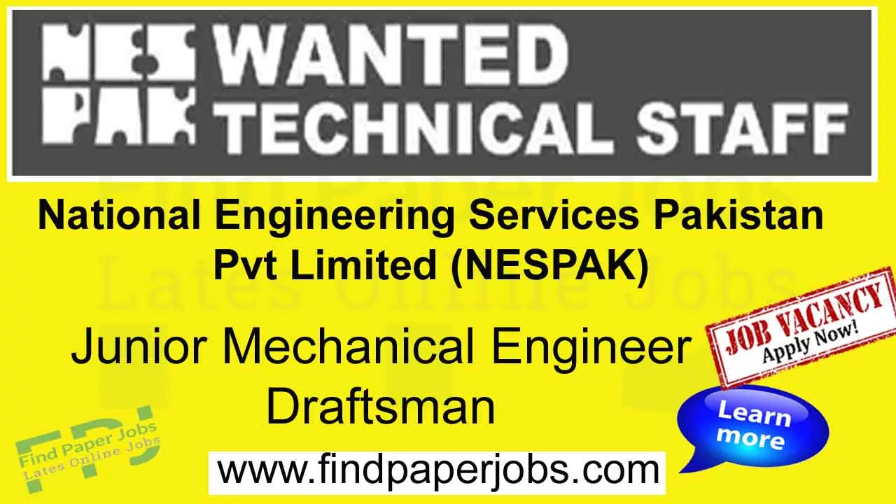 Jobs In National Engineering Services Pakistan Pvt Limited (NESPAK)