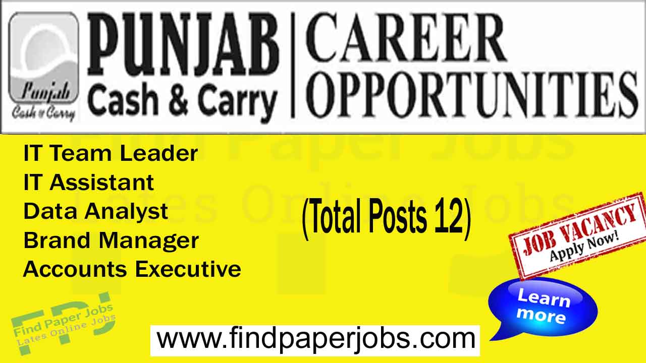 Jobs In Punjab Cash and Carry 2023