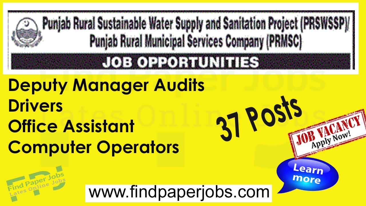 Punjab Rural Municipal Services Company Jobs 2023