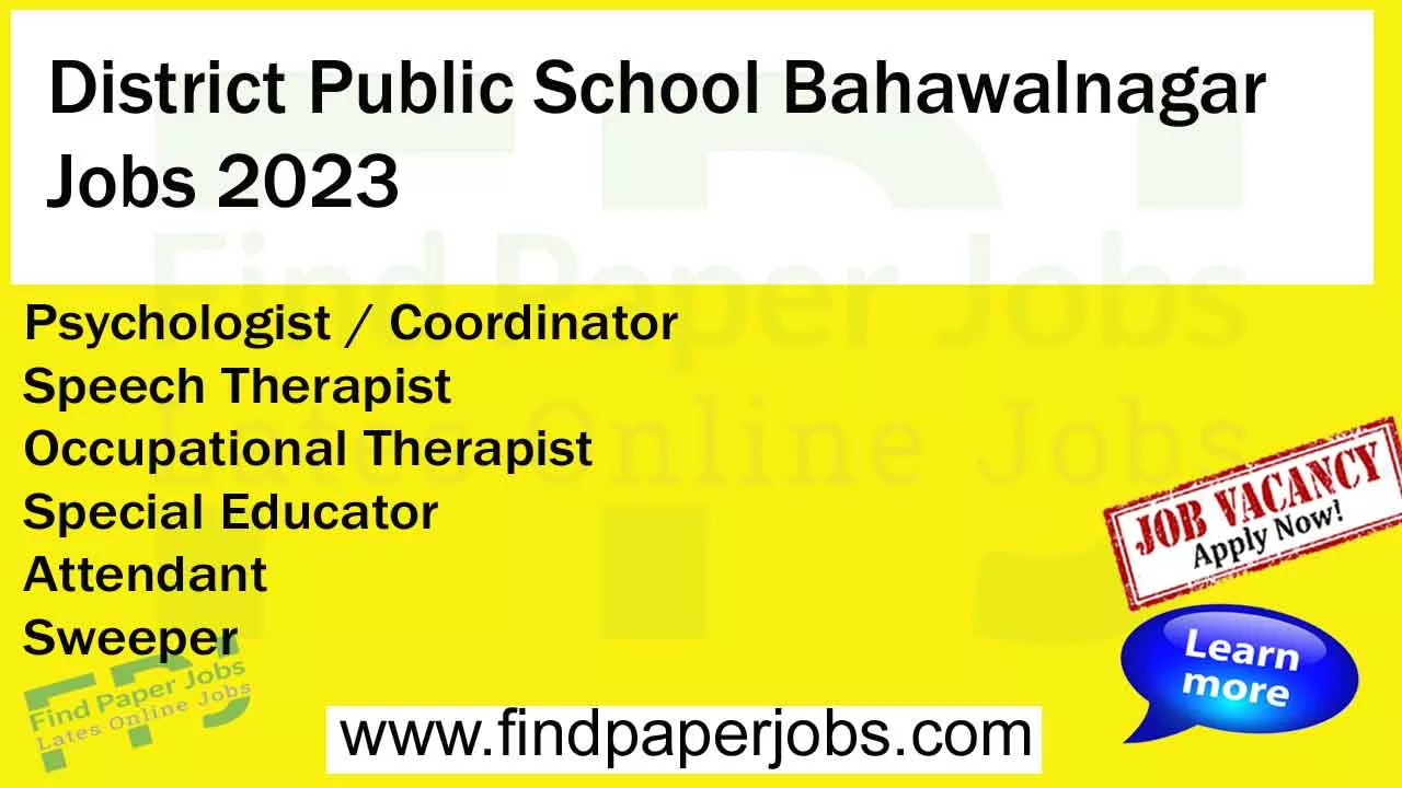 District Public School Bahawalnagar Jobs 2023