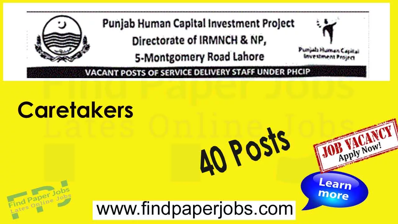 Punjab Human Capital Investment Project Jobs 2023
