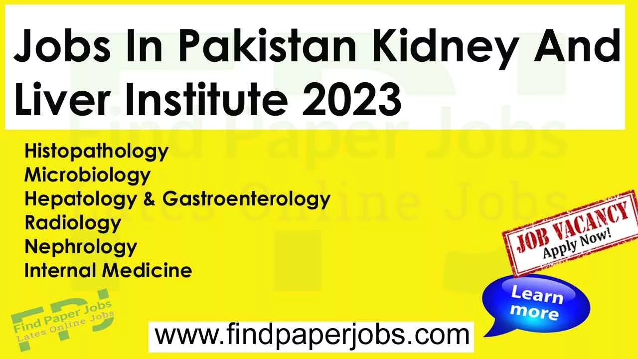 PKLI Lahore Jobs November 2023