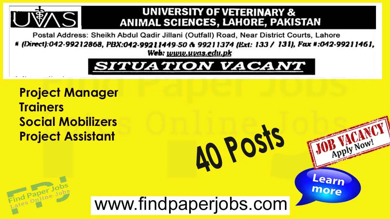 University of Veterinary and Animal Sciences Jobs 2023
