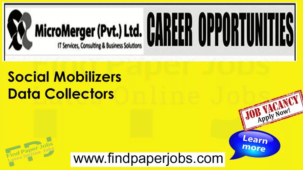 Micromerger Pakistan Jobs 2023