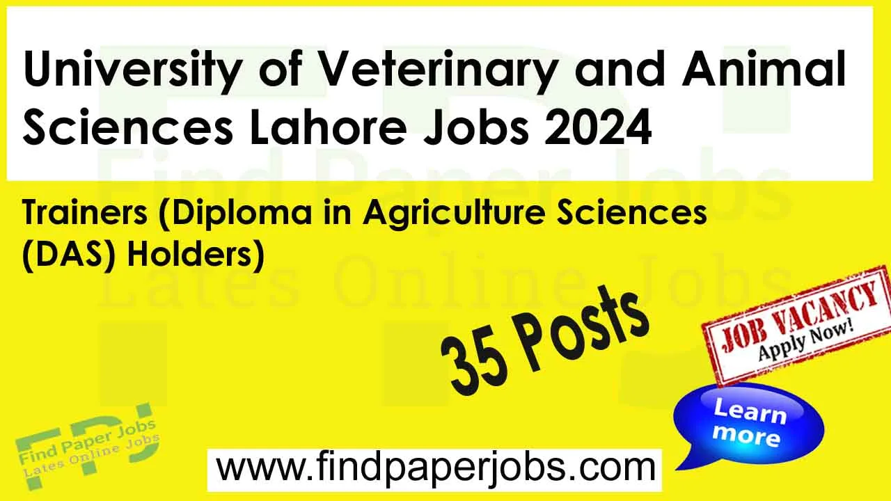 Jobs In University of Veterinary and Animal Sciences Lahore 2024