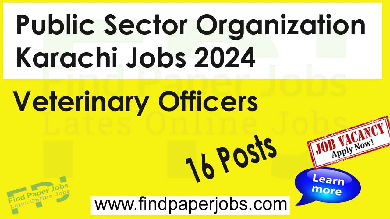 Public Sector Organization Karachi Jobs 2024