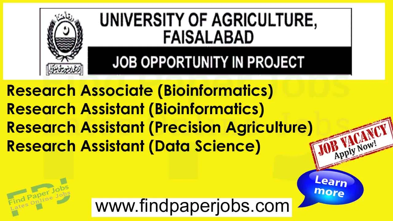 University of Agriculture Faisalabad Jobs 2024