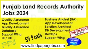 Punjab Land Records Authority Jobs 2024