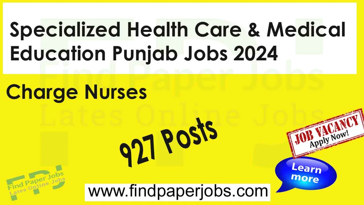 Specialized Health Care & Medical Education Punjab Jobs 2024