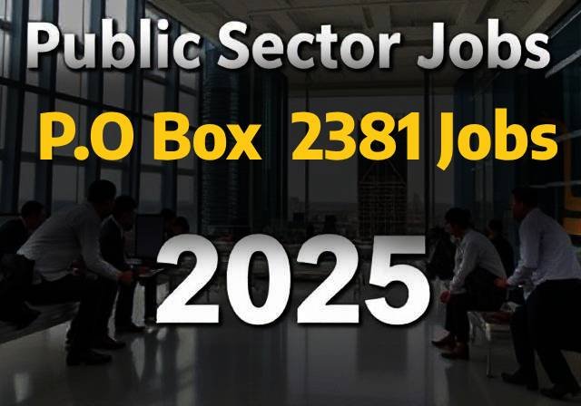 Public Sector Jobs 2025 | P.O Box 2381 Jobs
